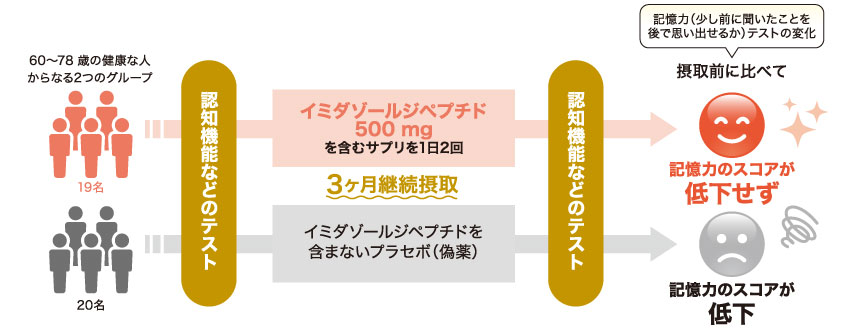 イミダゾールジペプチド500mgを含むサプリを1日2回、3ヶ月間摂取したグループで記憶力が維持される傾向
