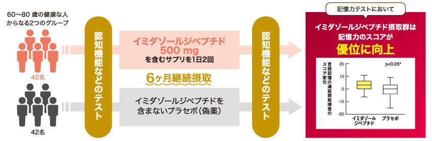 記憶テストの成績が有意に向上