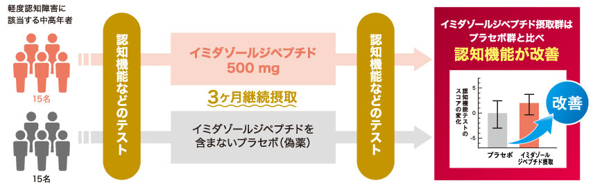 軽度認知障害の方を対象に記憶力を含む認知機能テストのスコアが改善