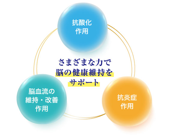 脳に良い影響をもたらすイミダゾールジペプチド